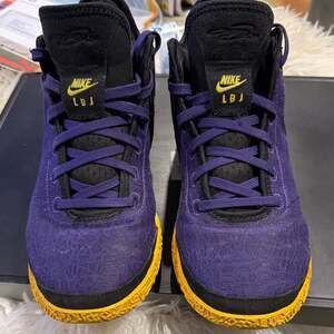 Nike Zoom LeBron NXXT Gen Lakers Court Purple/Black-University Gold
